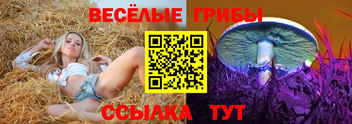 Галлюциногенные грибы мухоморы Лысьва