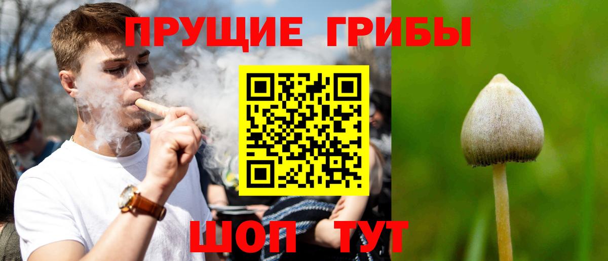 Галлюциногенные грибы Psilocybe  Вход с VPN  Лысьва 